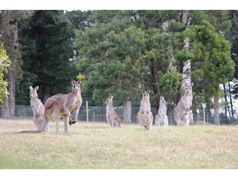 Bundanoon NSW 2578