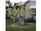 Bundanoon NSW 2578