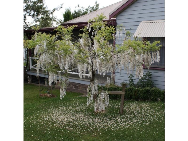 Bundanoon NSW 2578