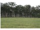 151 Murrimba (Scribbly Gum Ln) Road, Wingello NSW 2579