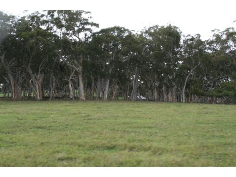 151 Murrimba (Scribbly Gum Ln) Road, Wingello NSW 2579