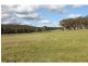 151 Murrimba (Scribbly Gum Ln) Road, Wingello NSW 2579