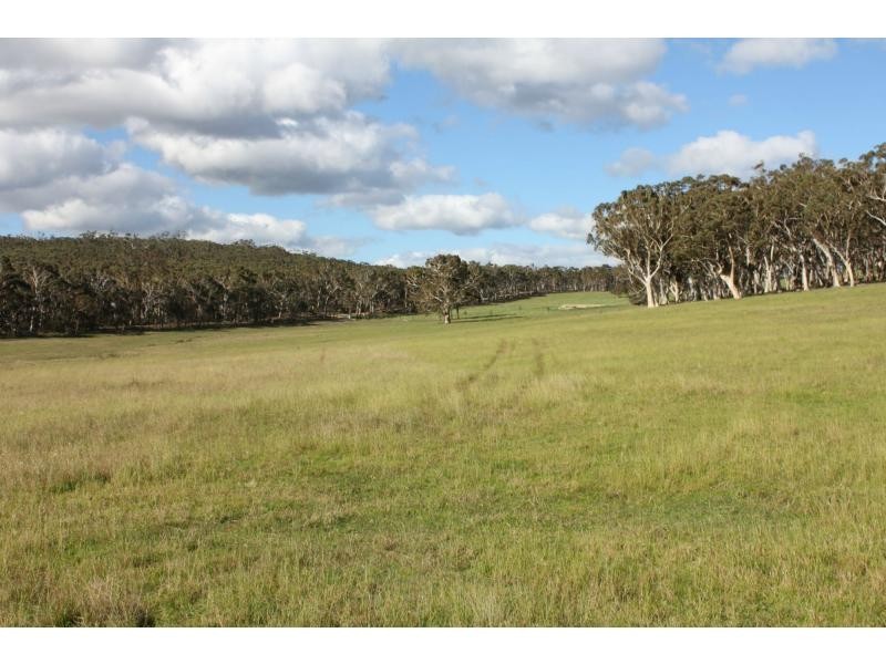 151 Murrimba (Scribbly Gum Ln) Road, Wingello NSW 2579