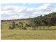 151 Murrimba (Scribbly Gum Ln) Road, Wingello NSW 2579