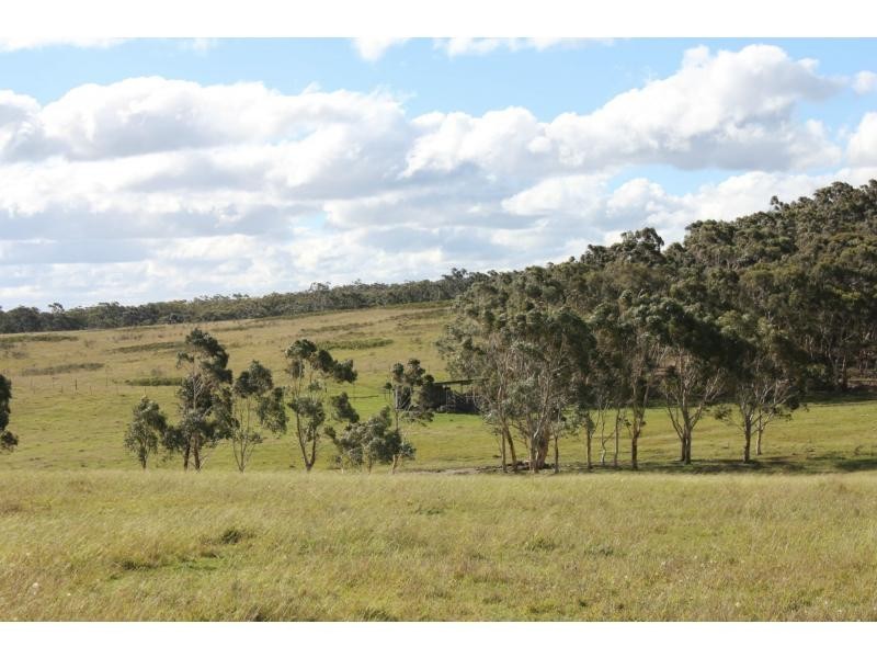 151 Murrimba (Scribbly Gum Ln) Road, Wingello NSW 2579