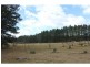 Sutton Forest NSW 2577