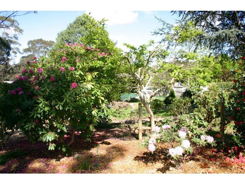 Lot 8 Ross Street, Bundanoon NSW 2578