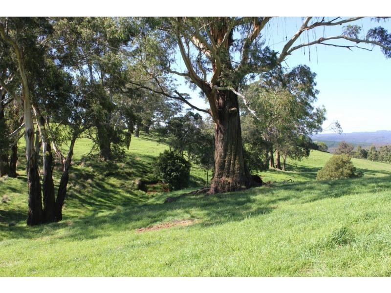 4 Evelyn Avenue, Bundanoon NSW 2578