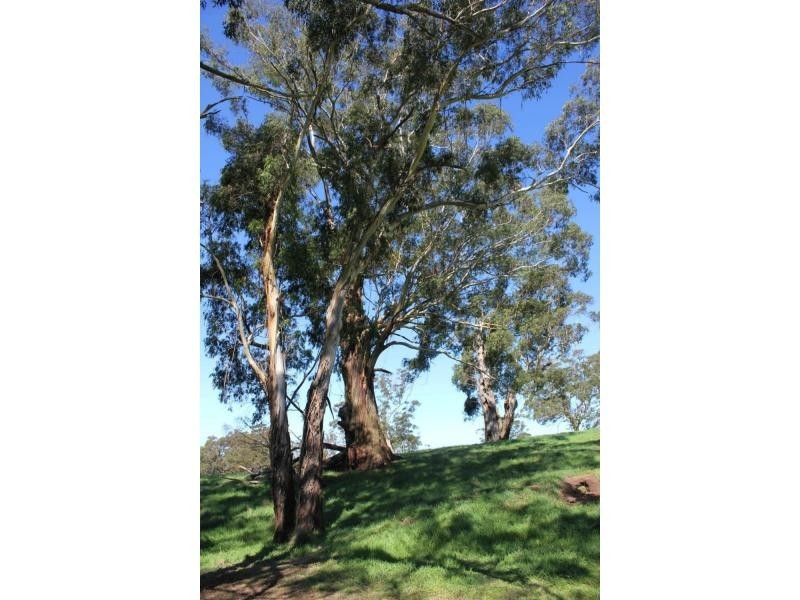 4 Evelyn Avenue, Bundanoon NSW 2578