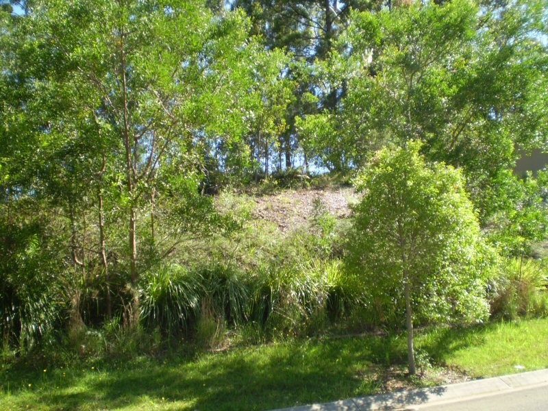 38 The Parkway Place, Mapleton QLD 4560