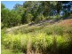 38 The Parkway Place, Mapleton QLD 4560