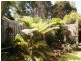 64 Obi Obi Road, Mapleton QLD 4560