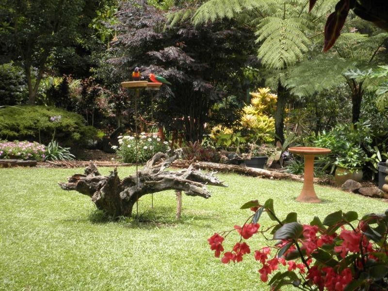 64 Obi Obi Road, Mapleton QLD 4560