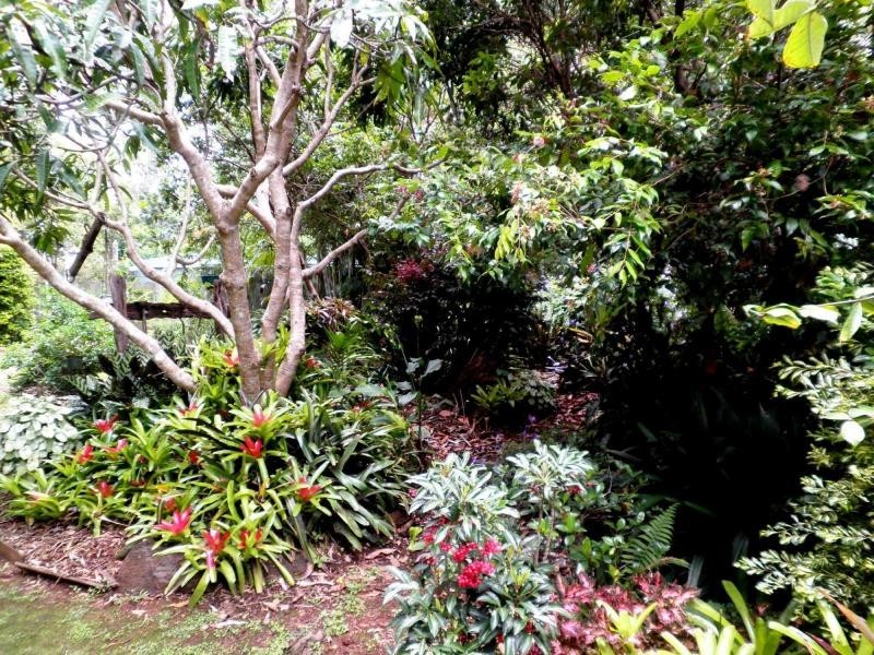 64 Obi Obi Road, Mapleton QLD 4560