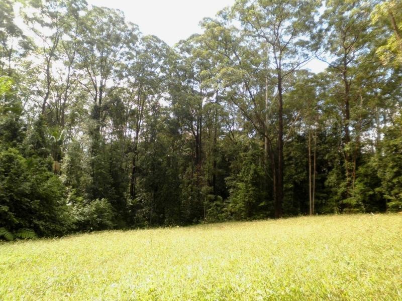 54 Delicia Road, Mapleton QLD 4560