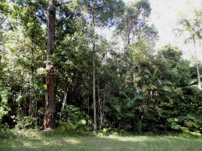 54 Delicia Road, Mapleton QLD 4560