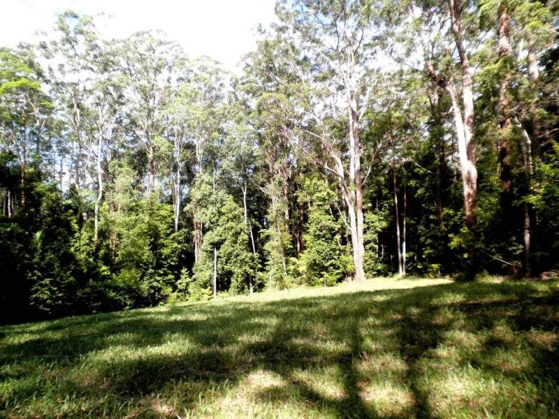 54 Delicia Road, Mapleton QLD 4560