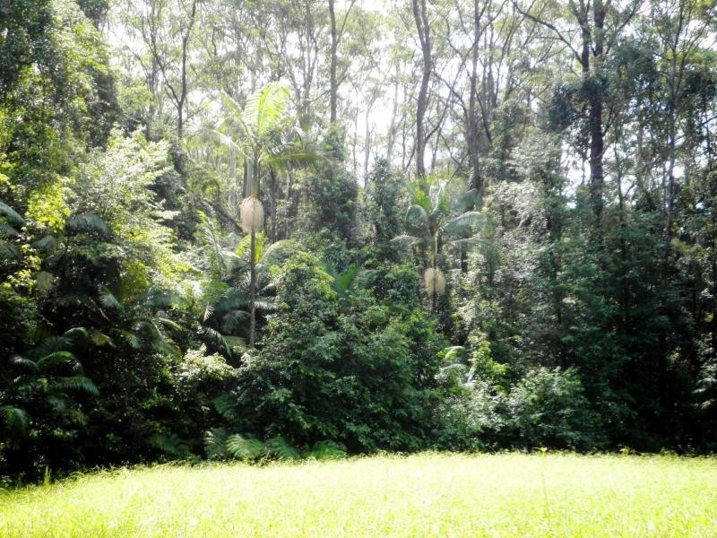 54 Delicia Road, Mapleton QLD 4560