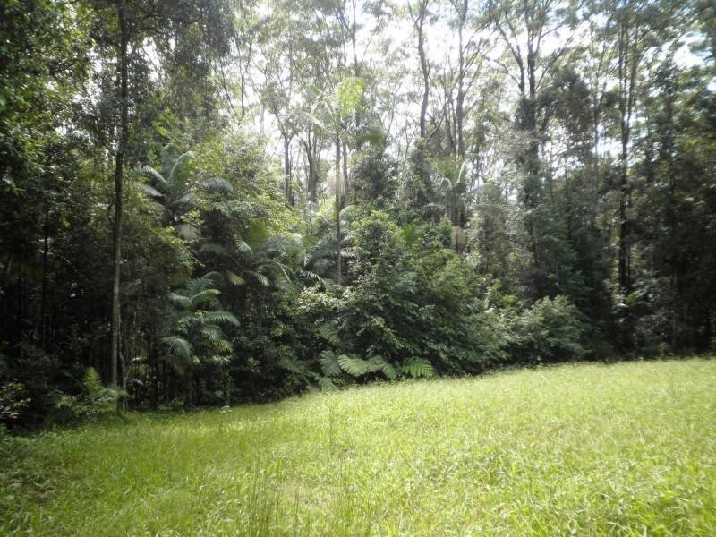 54 Delicia Road, Mapleton QLD 4560