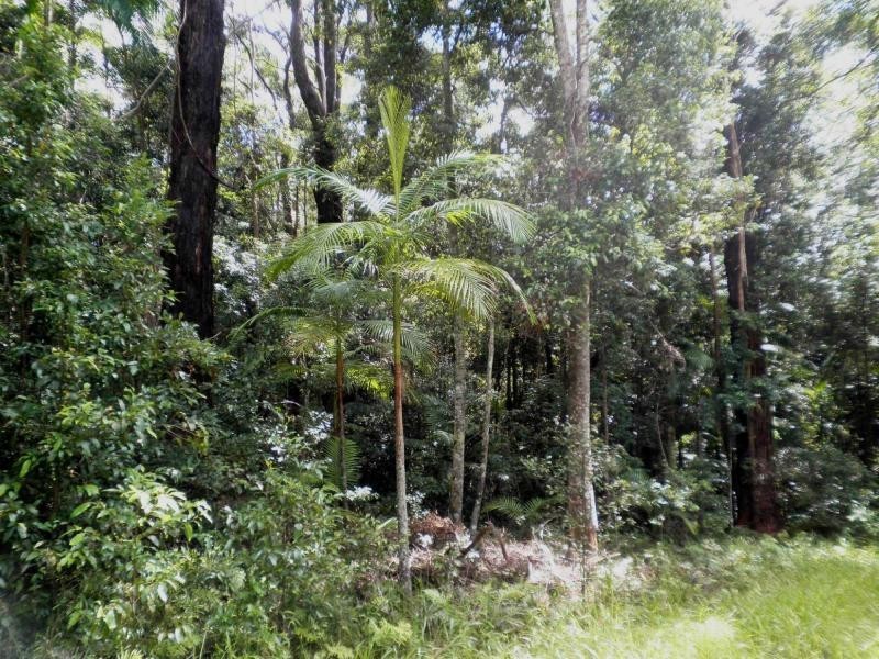 54 Delicia Road, Mapleton QLD 4560