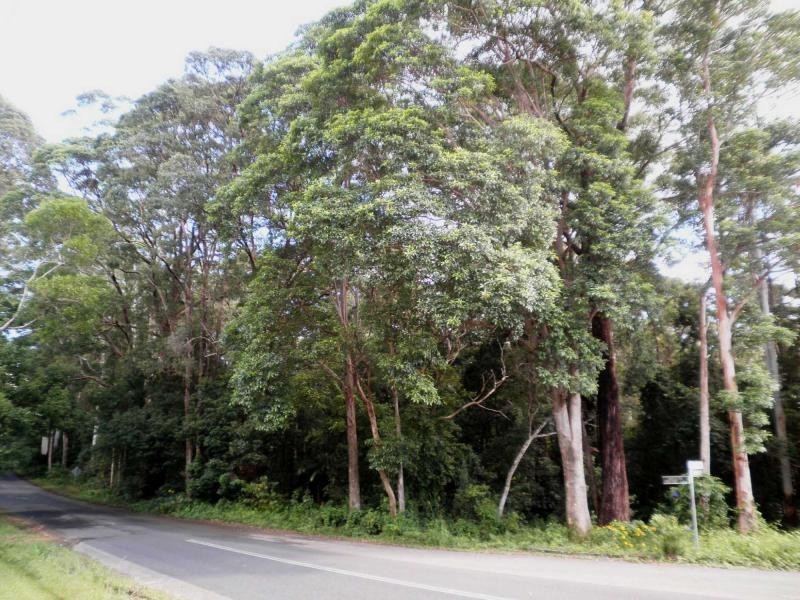 54 Delicia Road, Mapleton QLD 4560