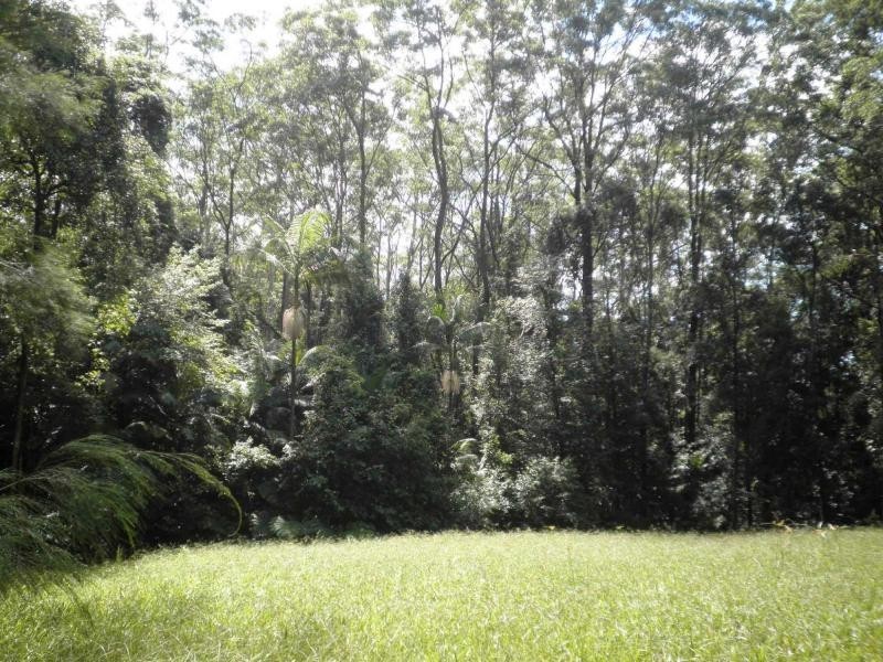 54 Delicia Road, Mapleton QLD 4560