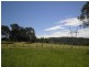 56 Spring Pasture Drive, Mapleton QLD 4560