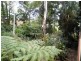 9 Caryota Street, Nambour QLD 4560