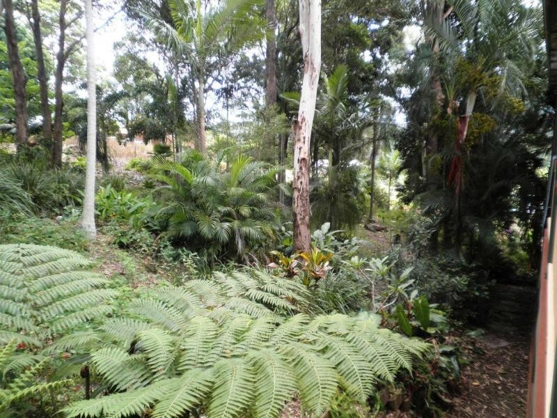 9 Caryota Street, Nambour QLD 4560