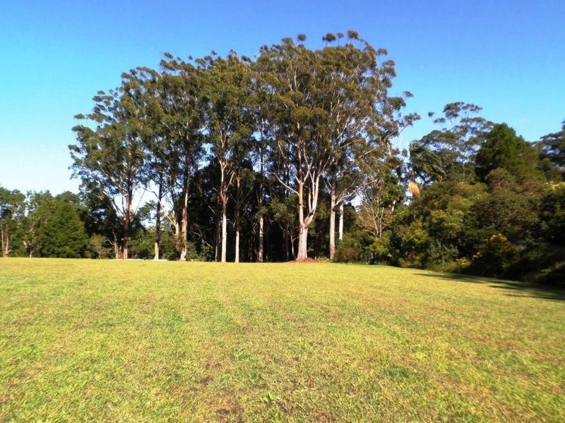 18 Azalea Street, Mapleton QLD 4560