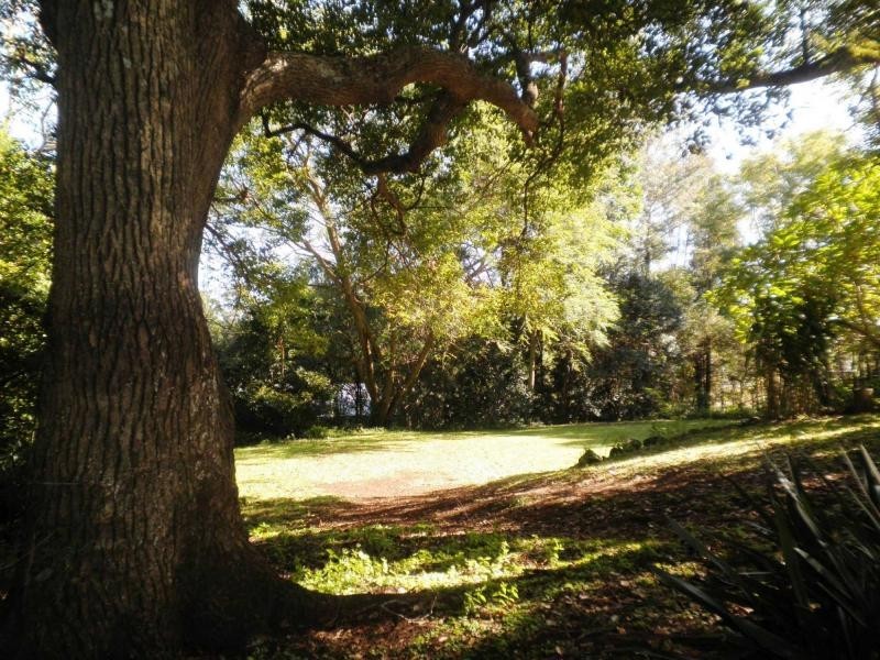 2 Kondalilla Falls Road, Montville QLD 4560