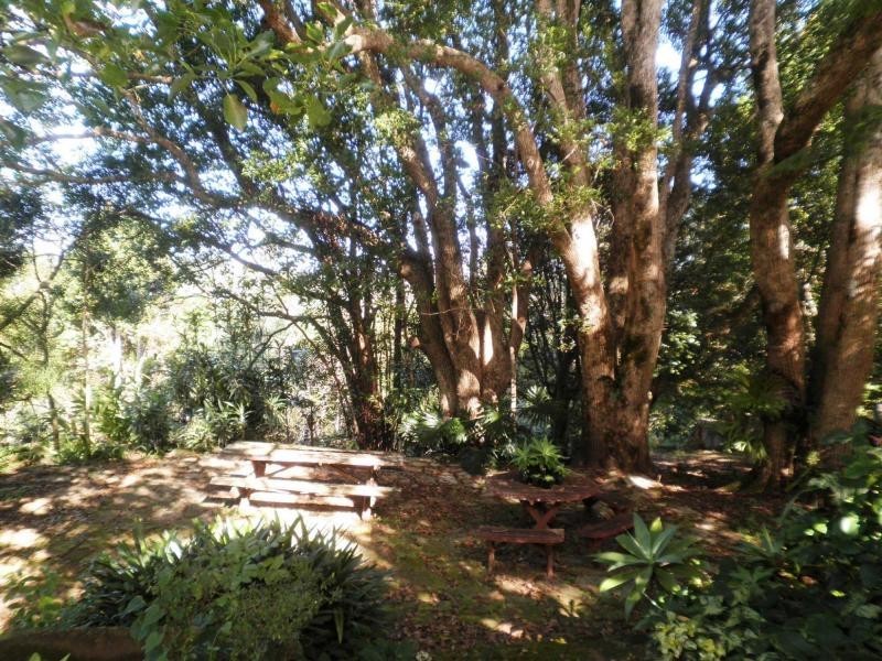 2 Kondalilla Falls Road, Montville QLD 4560