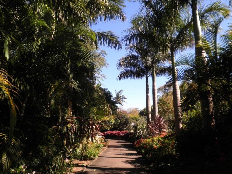 32 Glen Eden Court, Flaxton QLD 4560