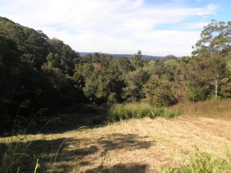 145 Kirbys Road, Montville QLD 4560