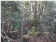 145 Kirbys Road, Montville QLD 4560