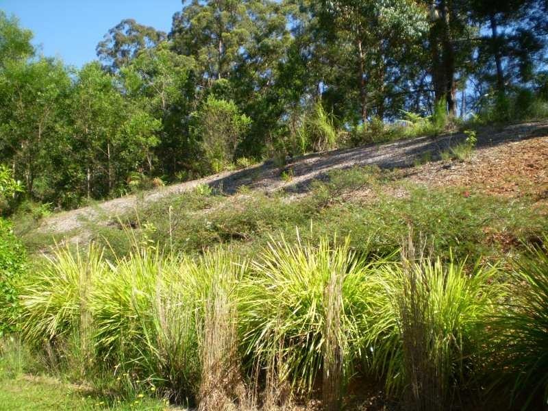 38 The Parkway Place, Mapleton QLD 4560