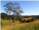 Mapleton QLD 4560
