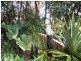 Kureelpa QLD 4560
