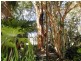 Kureelpa QLD 4560