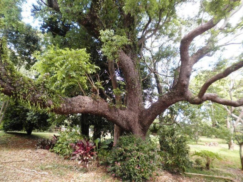 5 Glen Eden Court, Flaxton QLD 4560