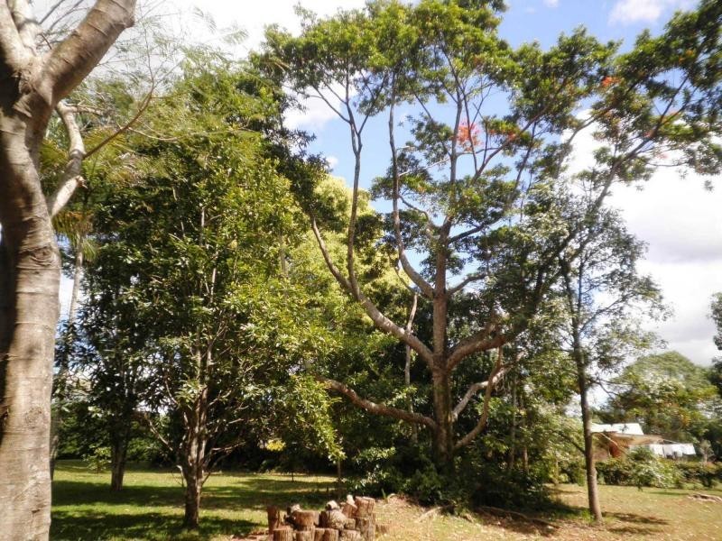 5 Glen Eden Court, Flaxton QLD 4560