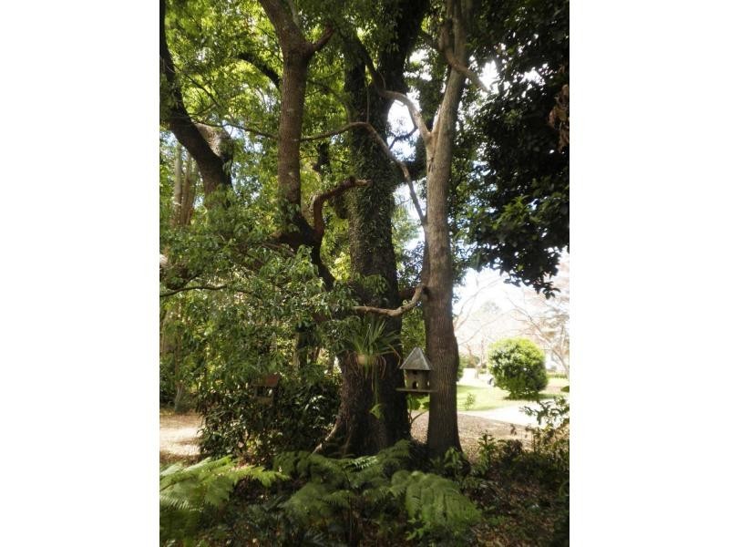 5 Glen Eden Court, Flaxton QLD 4560