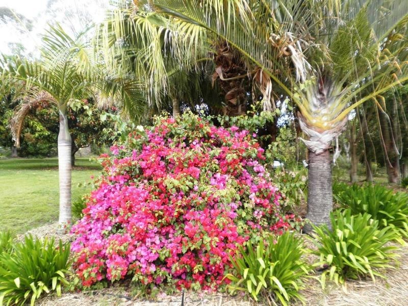 22 Murray Grey Drive, Kureelpa QLD 4560