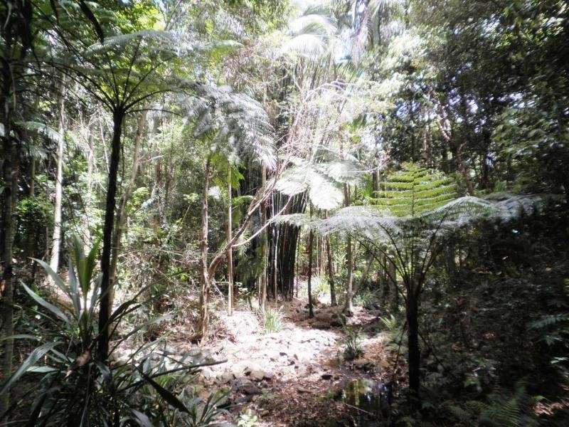 Flaxton QLD 4560