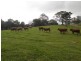 170 Dulong School Road, Mapleton QLD 4560