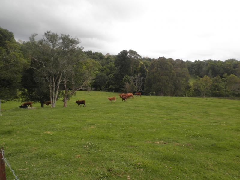 170 Dulong School Road, Mapleton QLD 4560