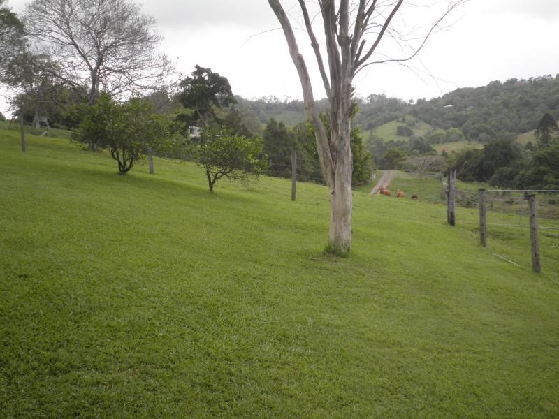 170 Dulong School Road, Mapleton QLD 4560