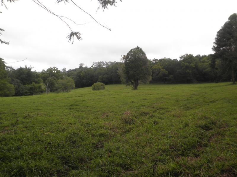 170 Dulong School Road, Mapleton QLD 4560