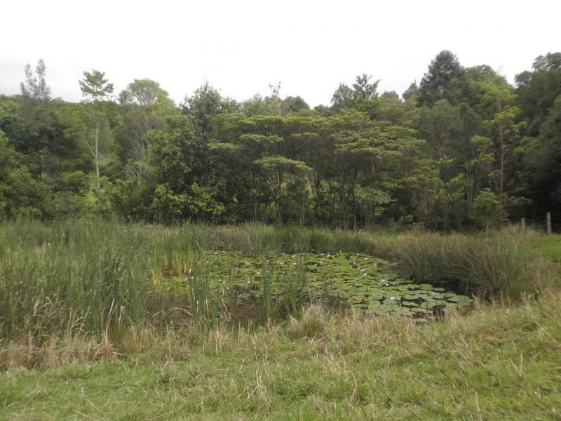 170 Dulong School Road, Mapleton QLD 4560