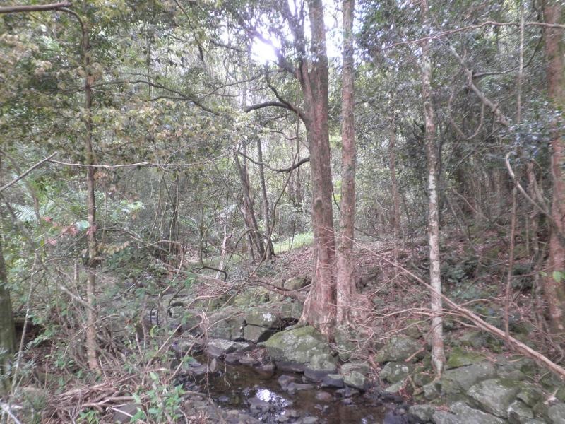 170 Dulong School Road, Mapleton QLD 4560